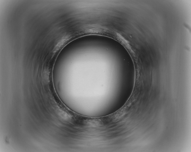 X0000099320106200805021322