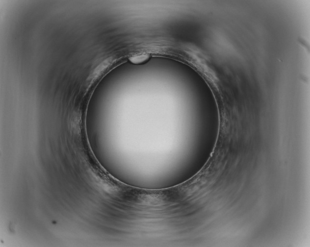 X0000099320107200805021322