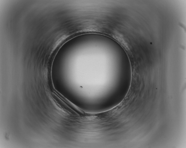 X0000099320108200805021322