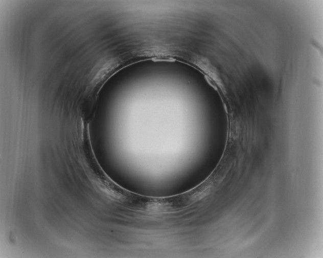 X0000099320109200805021322