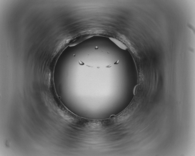 X0000099320110200805021322