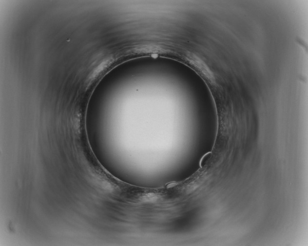 X0000099320111200805021322