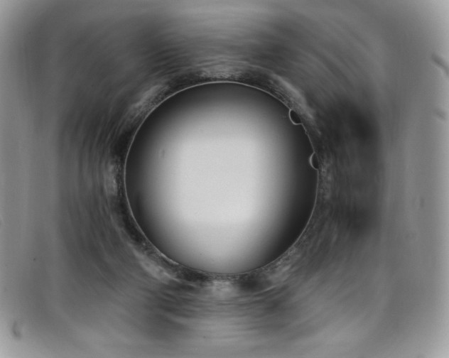 X0000099320114200805021322