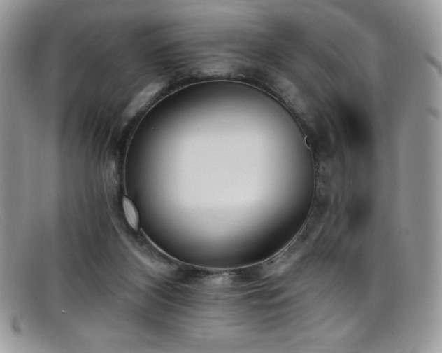 X0000099320116200805021322