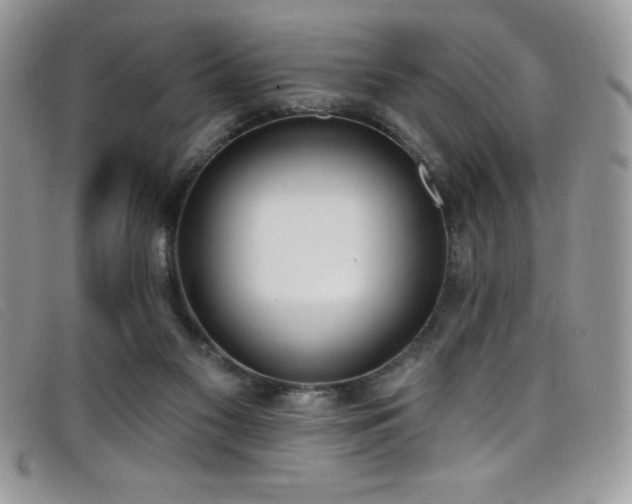 X0000099320117200805021322