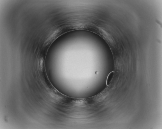 X0000099320118200805021322