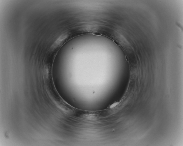 X0000099320120200805021321