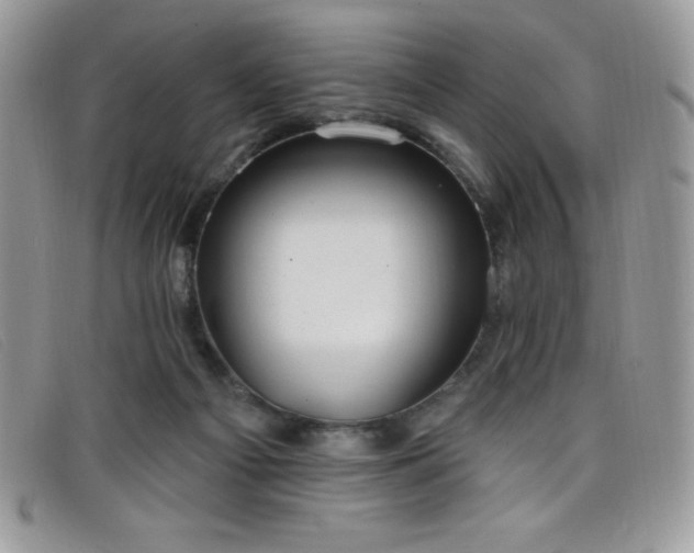 X0000099320121200805021321