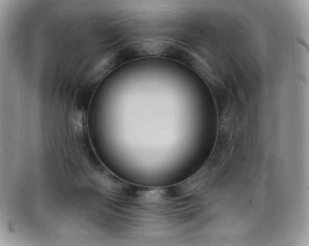 X0000099320122200805021321