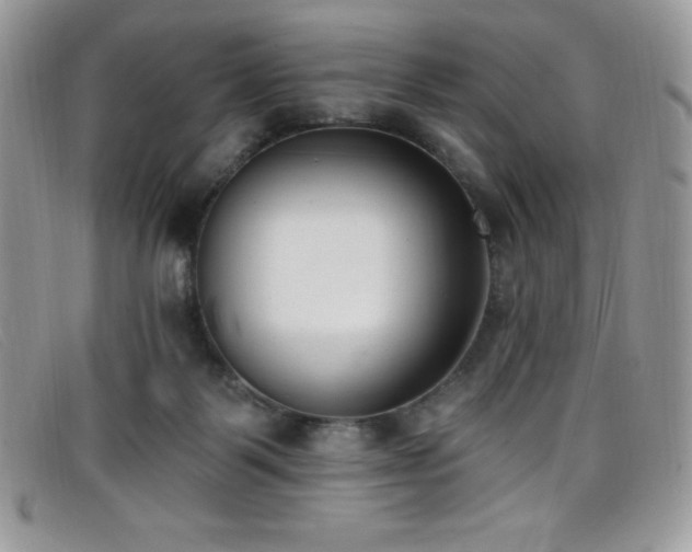 X0000099320123200805021321