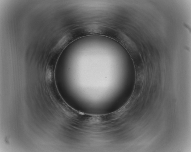 X0000099320124200805021321