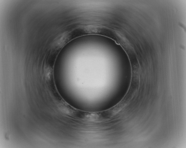 X0000099320125200805021321