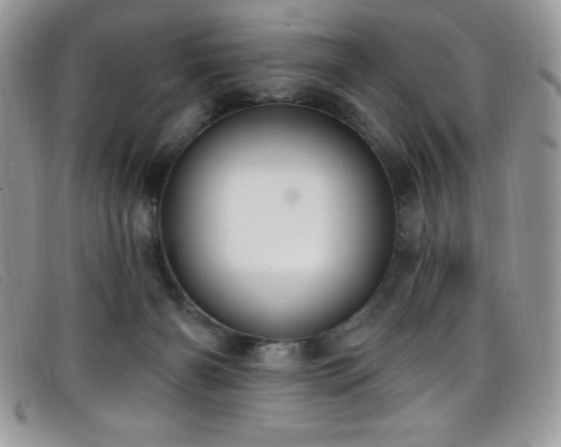 X0000099320126200805021321