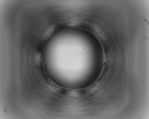 X0000099320127200805021321