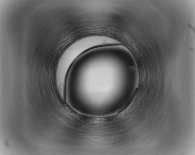 X0000099320128200805021321