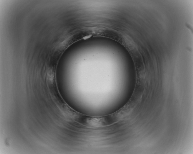 X0000099320129200805021321