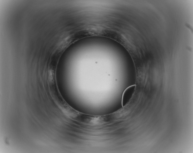 X0000099320130200805021321