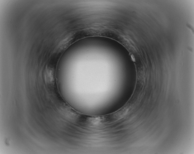 X0000099320131200805021321