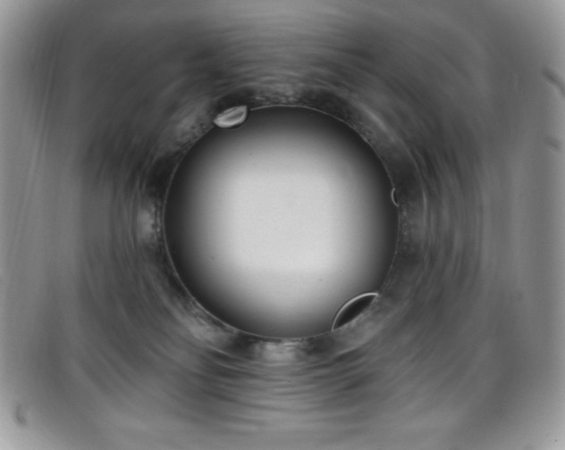 X0000099320134200805021321