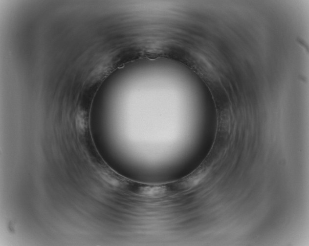 X0000099320135200805021321