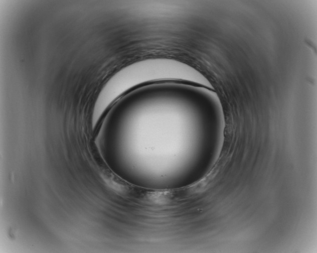 X0000099320136200805021321