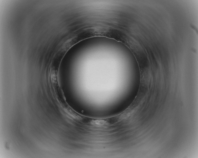 X0000099320137200805021321