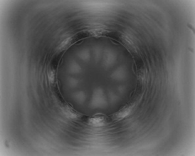 X0000099320139200805021321