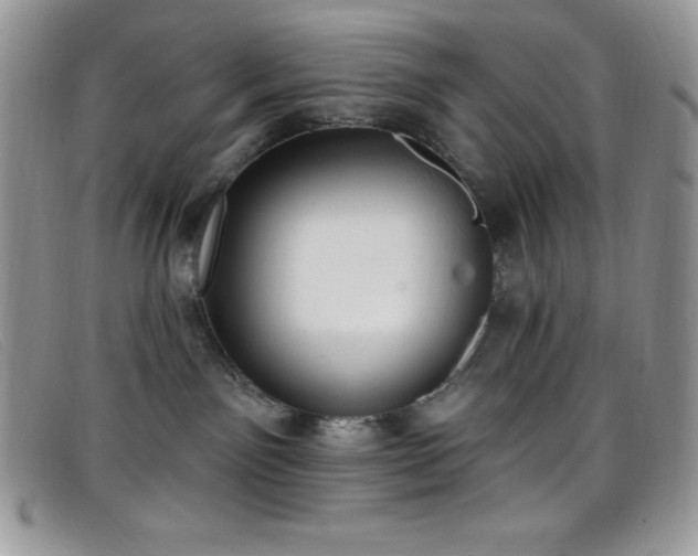 X0000099320141200805021321