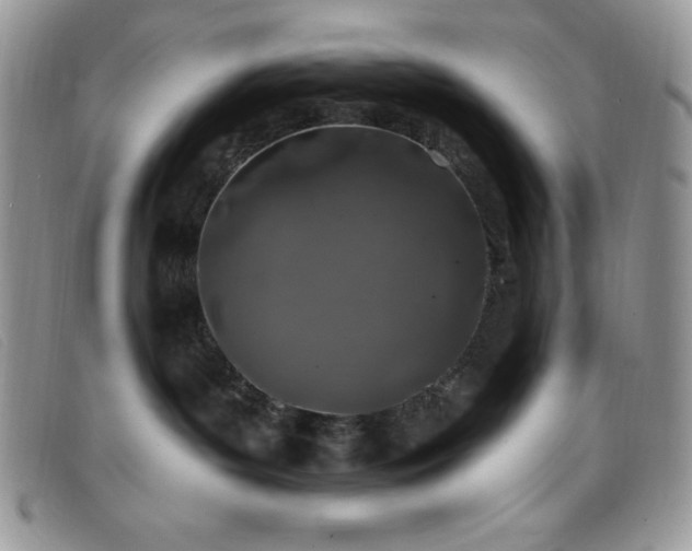 X0000099320143200805021321