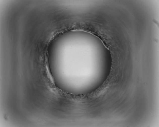 X0000099320144200805021321