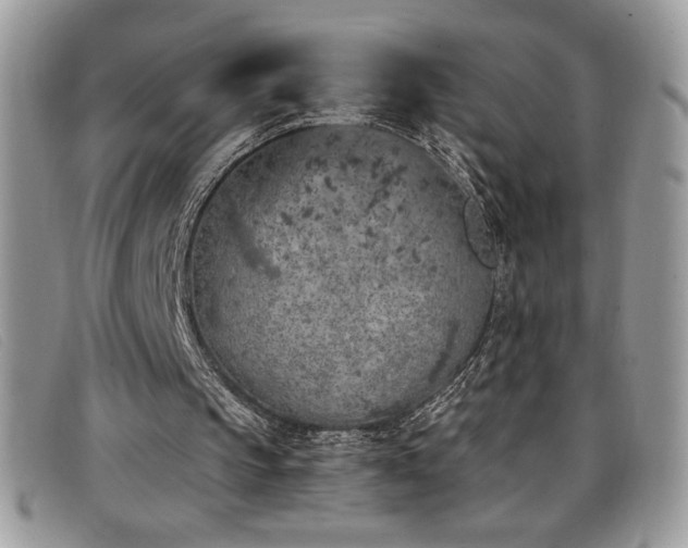 X0000099320145200805021320