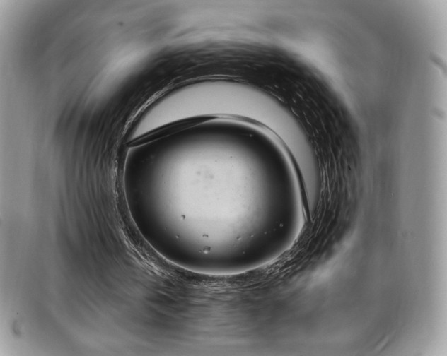 X0000099320146200805021320