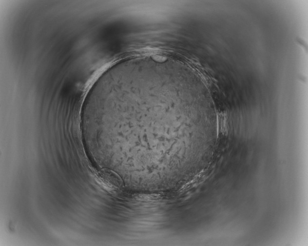 X0000099320147200805021321