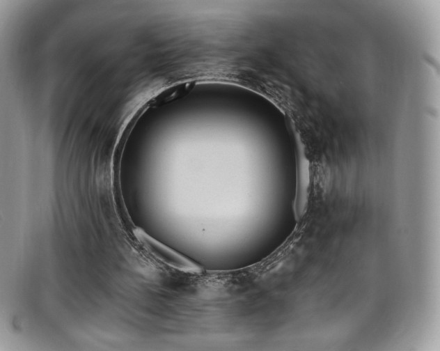 X0000099320148200805021321