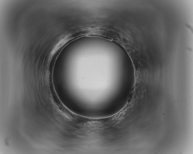 X0000099320150200805021321