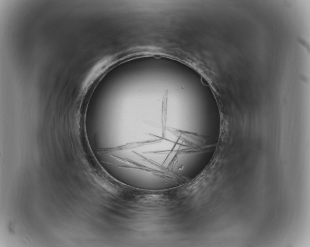 X0000099320151200805021321