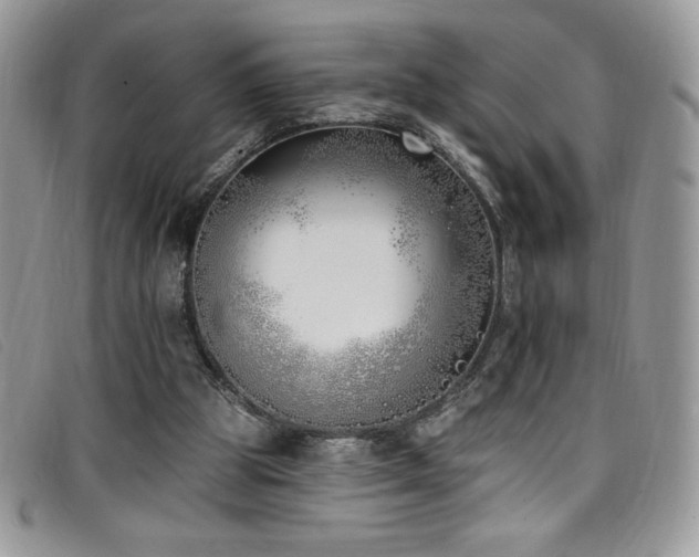 X0000099320153200805021321