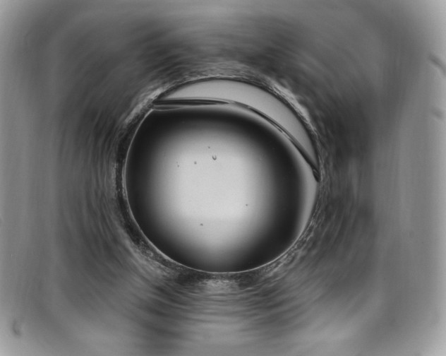 X0000099320154200805021321