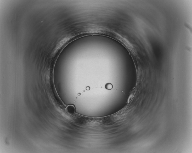 X0000099320155200805021321