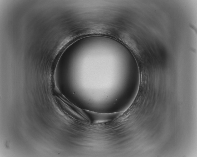 X0000099320156200805021321