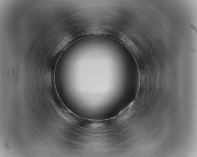 X0000099320158200805021321