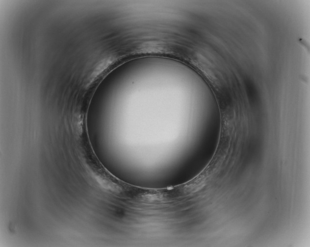 X0000099320160200805021321