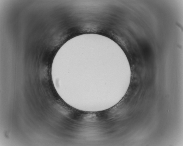 X0000099320162200805021321