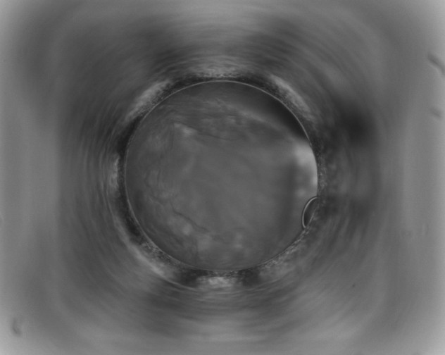 X0000099320163200805021321