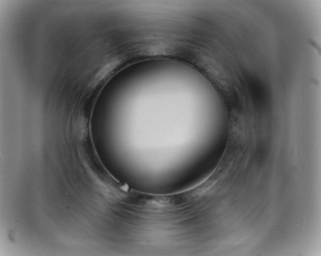 X0000099320164200805021321