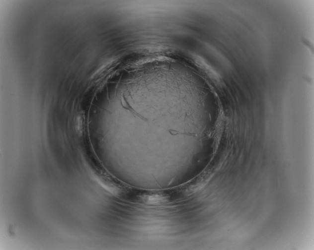 X0000099320165200805021321