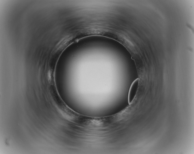 X0000099320166200805021321