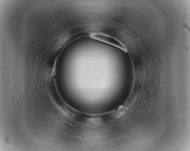 X0000099320168200805021321