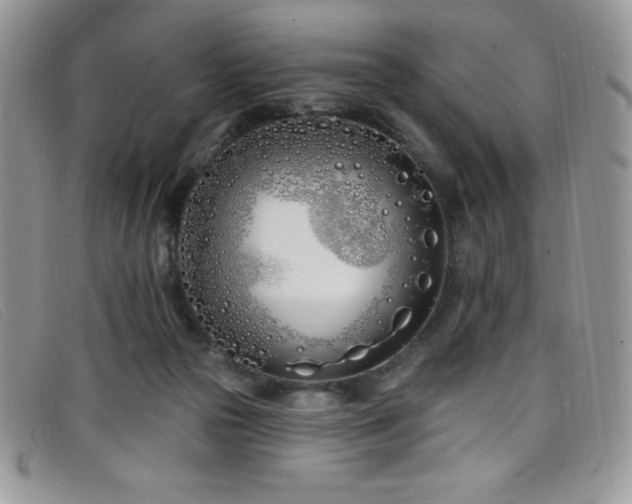 X0000099320169200805021321