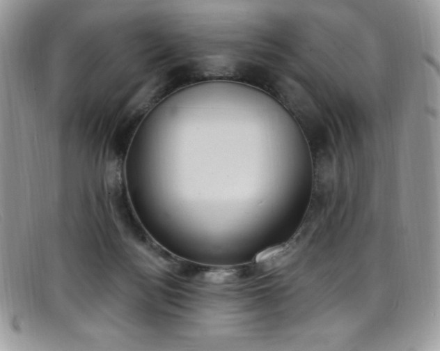 X0000099320172200805021321